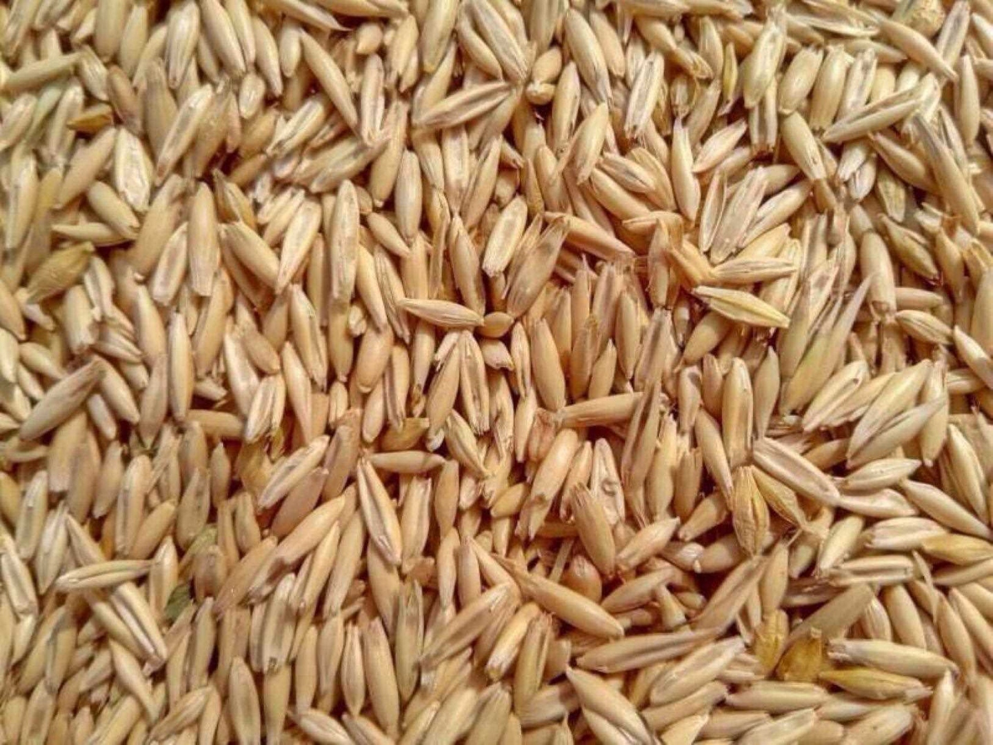 Oat product